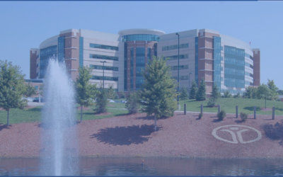 How One Organization Decreased Their Fall Rates by 32% with Collette Health